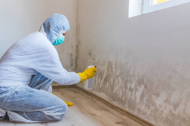 Mold Remediation specialist working in Meyersdale
